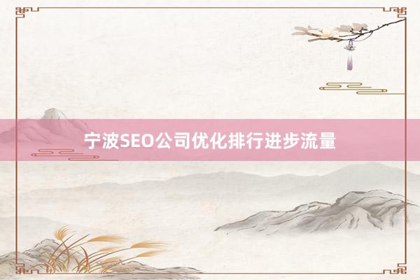 宁波SEO公司优化排行进步流量