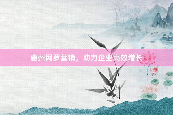 惠州网罗营销，助力企业高效增长