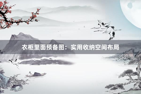 衣柜里面预备图：实用收纳空间布局