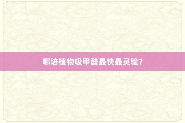 哪培植物吸甲醛最快最灵验？